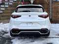 Alfa Romeo Stelvio Quadrifoglio Q4 AWD Carbon BREMBO CCM Weiß - thumbnail 12