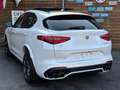 Alfa Romeo Stelvio Quadrifoglio Q4 AWD Carbon BREMBO CCM Weiß - thumbnail 12