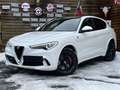 Alfa Romeo Stelvio Quadrifoglio Q4 AWD Carbon BREMBO CCM Weiß - thumbnail 6
