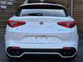 Alfa Romeo Stelvio Quadrifoglio Q4 AWD Carbon BREMBO CCM Weiß - thumbnail 13