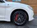 Alfa Romeo Stelvio Quadrifoglio Q4 AWD Carbon BREMBO CCM Weiß - thumbnail 17