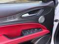Alfa Romeo Stelvio Quadrifoglio Q4 AWD Carbon BREMBO CCM Weiß - thumbnail 19