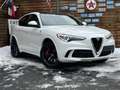 Alfa Romeo Stelvio Quadrifoglio Q4 AWD Carbon BREMBO CCM Weiß - thumbnail 2