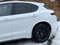 Alfa Romeo Stelvio Quadrifoglio Q4 AWD Carbon BREMBO CCM Weiß - thumbnail 8