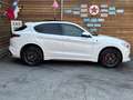 Alfa Romeo Stelvio Quadrifoglio Q4 AWD Carbon BREMBO CCM Weiß - thumbnail 16