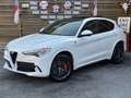 Alfa Romeo Stelvio Quadrifoglio Q4 AWD Carbon BREMBO CCM Weiß - thumbnail 8