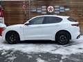 Alfa Romeo Stelvio Quadrifoglio Q4 AWD Carbon BREMBO CCM Weiß - thumbnail 16