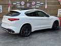 Alfa Romeo Stelvio Quadrifoglio Q4 AWD Carbon BREMBO CCM Weiß - thumbnail 15