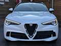 Alfa Romeo Stelvio Quadrifoglio Q4 AWD Carbon BREMBO CCM Weiß - thumbnail 5