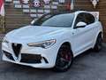 Alfa Romeo Stelvio Quadrifoglio Q4 AWD Carbon BREMBO CCM Weiß - thumbnail 7