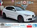 Alfa Romeo Stelvio Quadrifoglio Q4 AWD Carbon BREMBO CCM Weiß - thumbnail 1