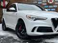 Alfa Romeo Stelvio Quadrifoglio Q4 AWD Carbon BREMBO CCM Weiß - thumbnail 3