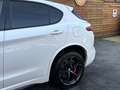 Alfa Romeo Stelvio Quadrifoglio Q4 AWD Carbon BREMBO CCM Weiß - thumbnail 10