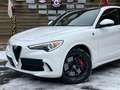 Alfa Romeo Stelvio Quadrifoglio Q4 AWD Carbon BREMBO CCM Weiß - thumbnail 5