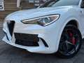 Alfa Romeo Stelvio Quadrifoglio Q4 AWD Carbon BREMBO CCM Weiß - thumbnail 6