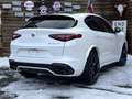 Alfa Romeo Stelvio Quadrifoglio Q4 AWD Carbon BREMBO CCM Weiß - thumbnail 13