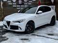 Alfa Romeo Stelvio Quadrifoglio Q4 AWD Carbon BREMBO CCM Weiß - thumbnail 7