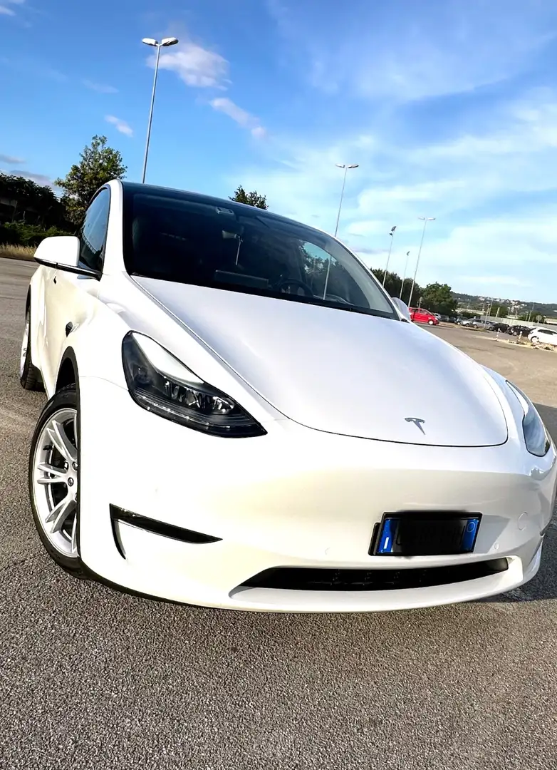 Tesla Model Y Long Range Dual Motor AWD - 2
