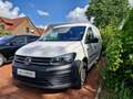 Volkswagen Caddy Maxi Kasten BMT, Erdgas/Benzin, Handwerker/Camper Weiß - thumbnail 3