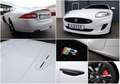 Jaguar XKR 5.0 V8 XKR Coupé/B&W/SHZ/LHZ/KAMERA/XENON/20 Weiß - thumbnail 7