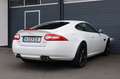Jaguar XKR 5.0 V8 XKR Coupé/B&W/SHZ/LHZ/KAMERA/XENON/20 Weiß - thumbnail 6