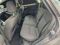Ford Focus Turnier Sync Edition Braun - thumbnail 15