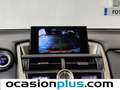 Lexus NX 300 300h Executive 4WD Gris - thumbnail 8