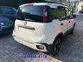 Fiat Pandina PROMO FIN.  PANDINA CROSS  1.0  Hybrid KM0 Bianco - thumbnail 12