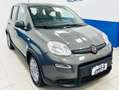 Fiat Panda Panda III 2021 1.0 firefly hybrid s Grigio - thumbnail 3