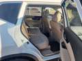 Nissan X-Trail 1.6 dCi Tekna 4x2 XTronic Weiß - thumbnail 3