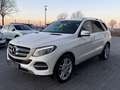 Mercedes-Benz GLE 250 d 4Matic Autom. Navi LED Kamera Weiß - thumbnail 1