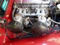 Triumph TR3 A Rot - thumbnail 25