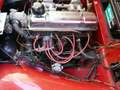 Triumph TR3 A Rot - thumbnail 24