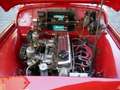 Triumph TR3 A Rot - thumbnail 23