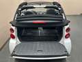 smart forTwo cabrio Passion Autom.*KLIMA*NAVI*SITZHZG* Weiß - thumbnail 12