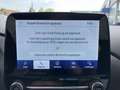 Ford Puma Titanium X 1.0 EcoBoost Hybrid 125pk automaat auto Grijs - thumbnail 32