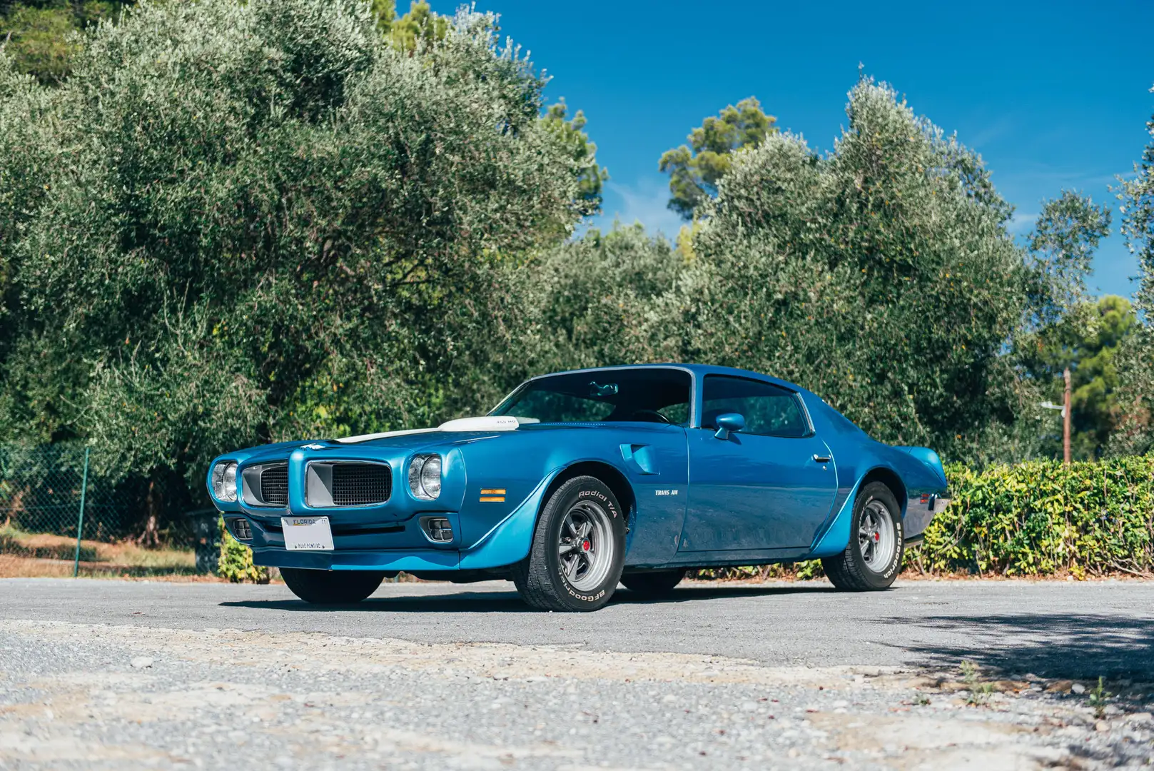 Pontiac Trans Am 455 HO 7.5L - Lucern Blue - 2