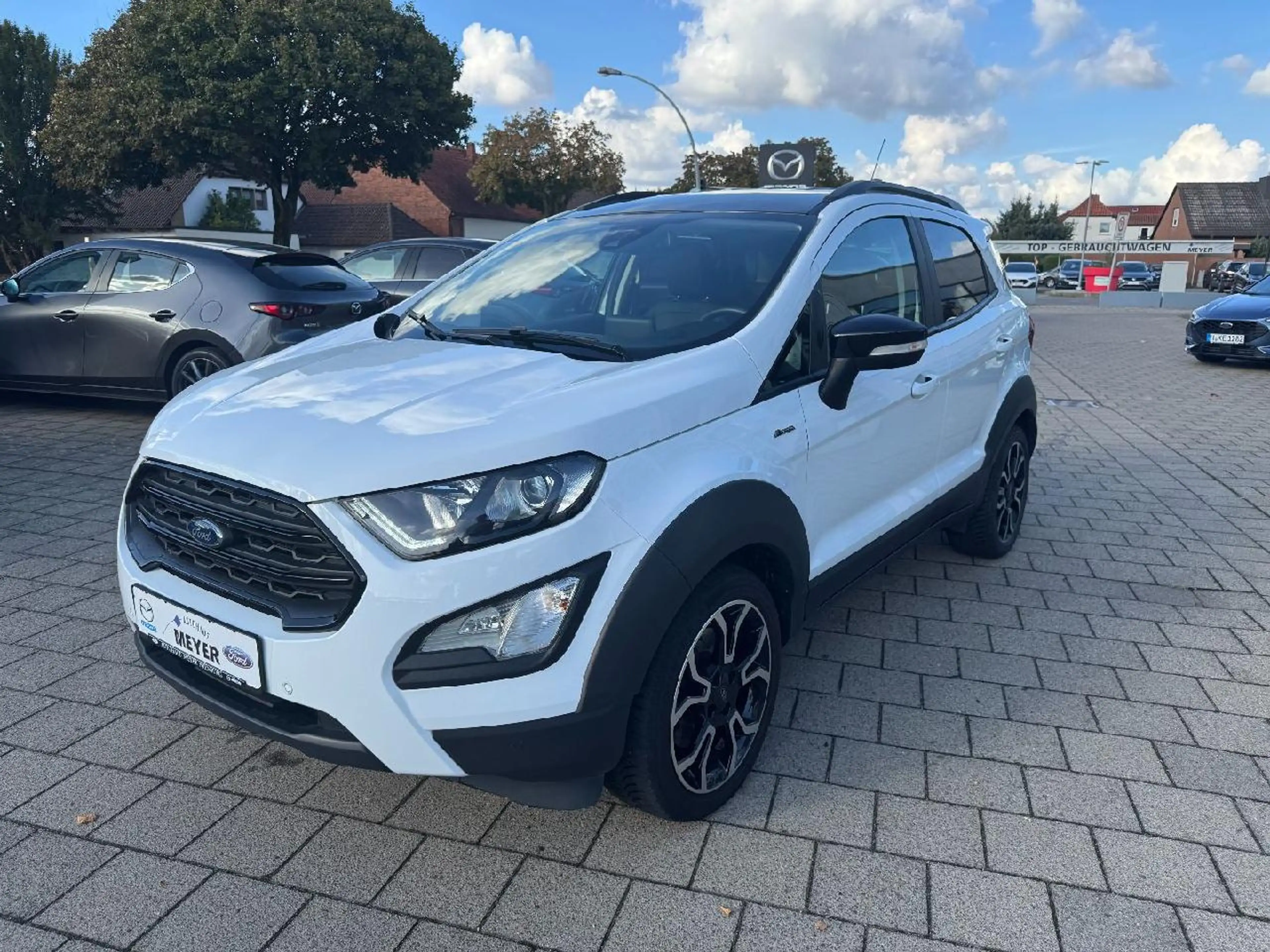 Ford EcoSport Active — photo 3