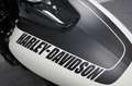 Harley-Davidson Fat Bob FXFBS 114 - thumbnail 25