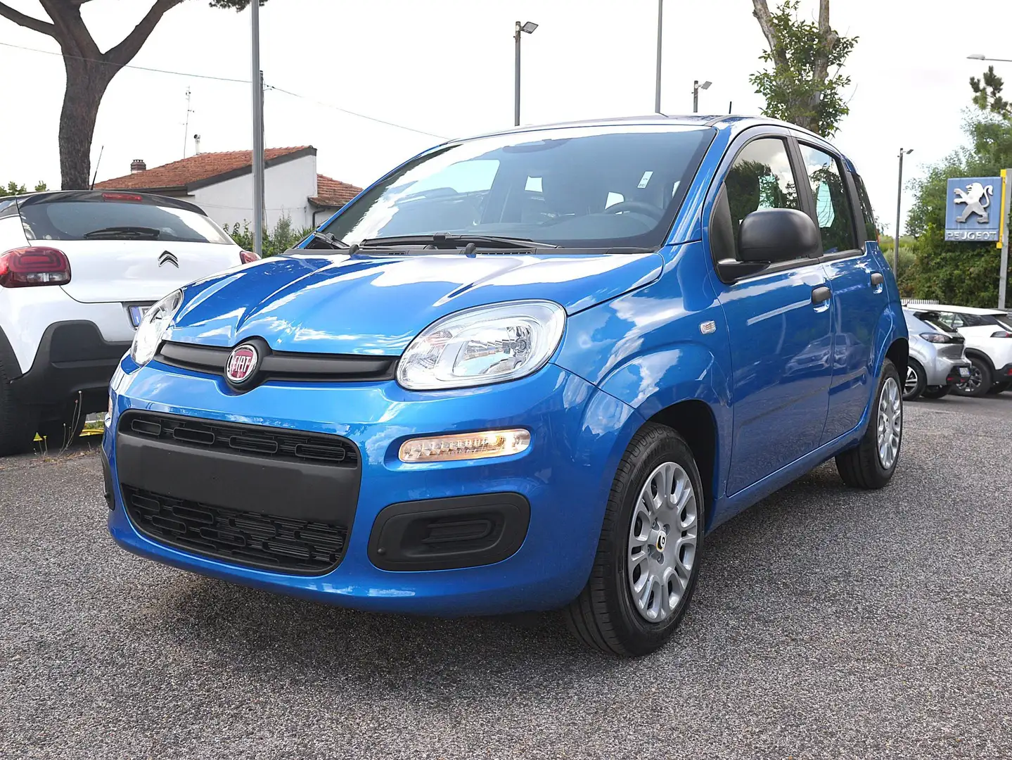 Fiat Panda Panda III 2024 1.0 Firefly Hybrid Blu/Azzurro - 1
