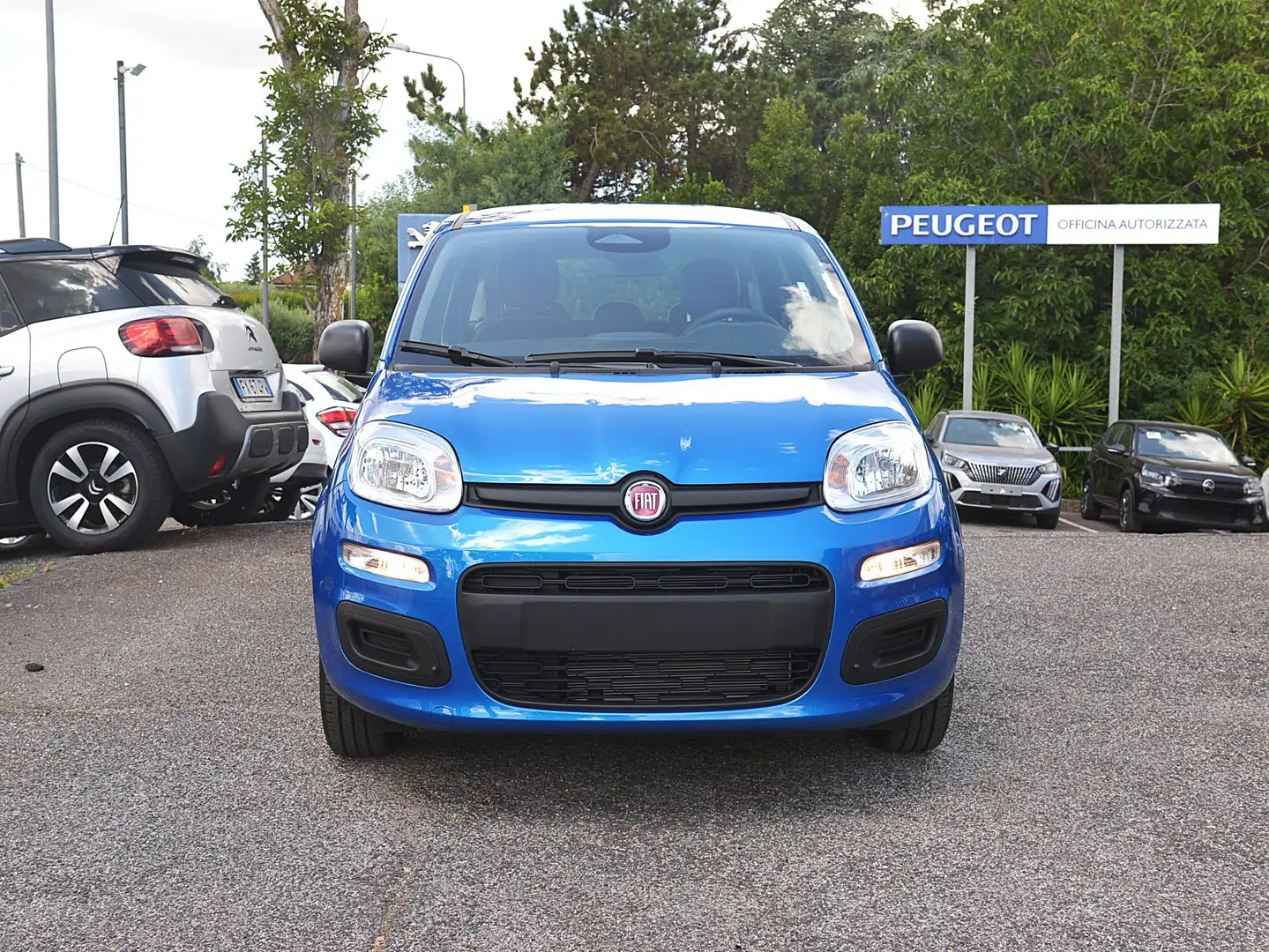 Fiat Panda Panda III 2024 1.0 Firefly Hybrid Blu/Azzurro - 2