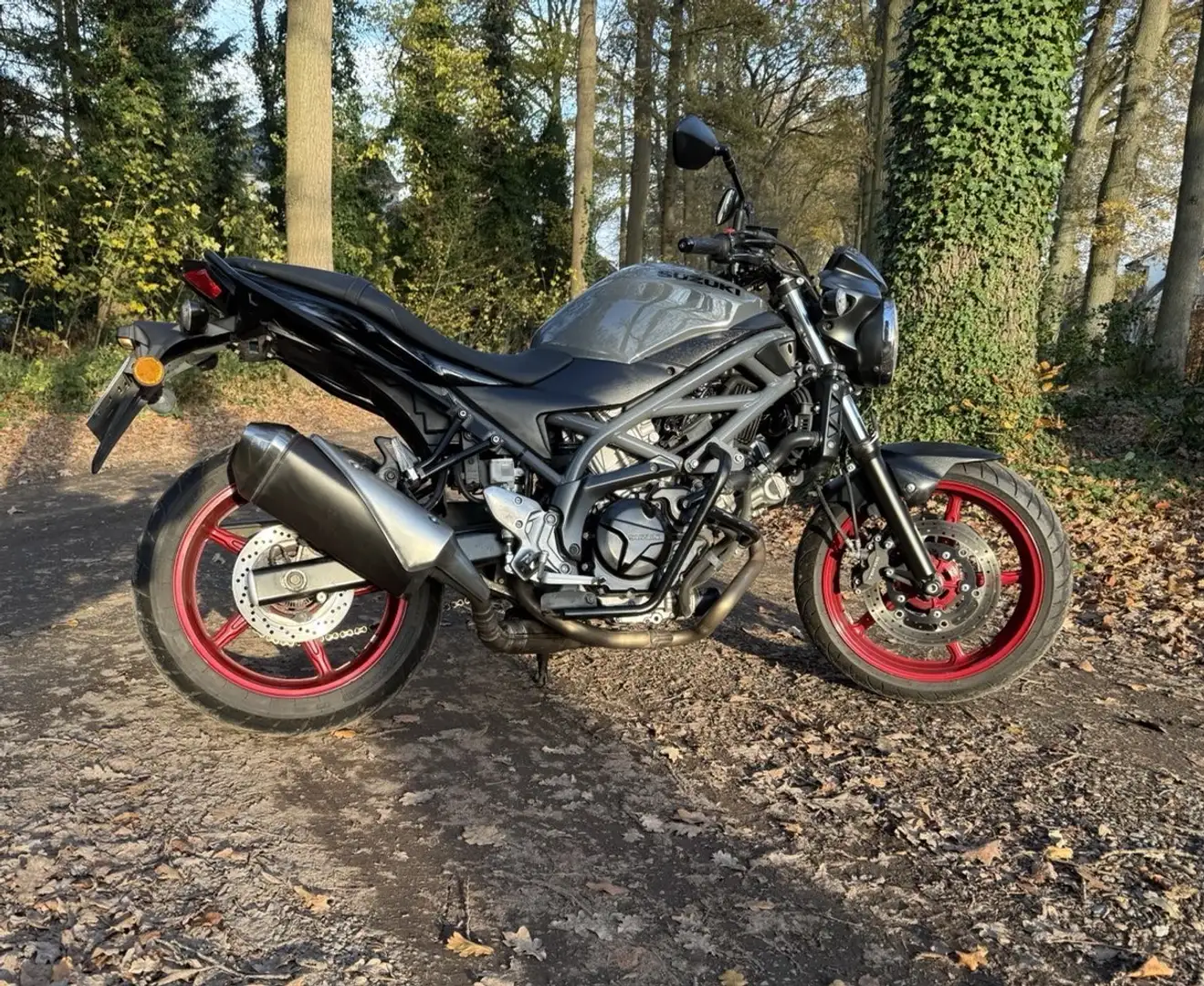 Suzuki SV 650 - 1