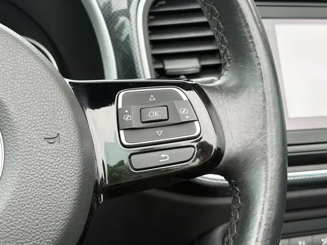 Volkswagen Beetle view 21
