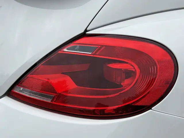 Volkswagen Beetle view 19