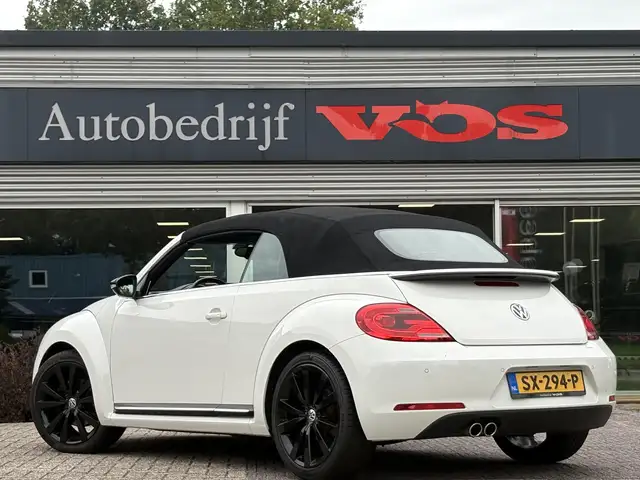 Volkswagen Beetle view 8