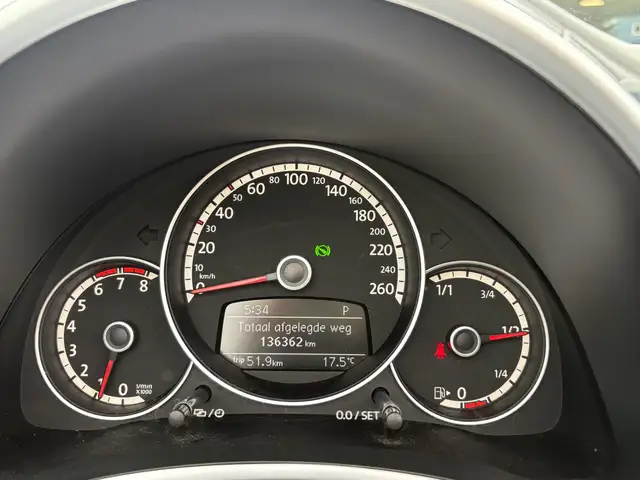 Volkswagen Beetle view 20