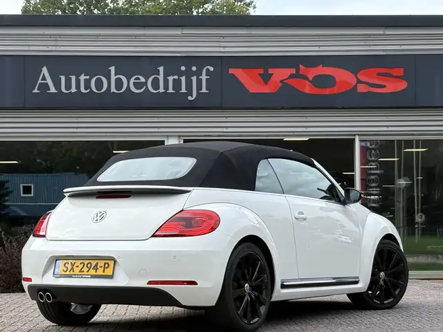 Volkswagen Beetle view 13