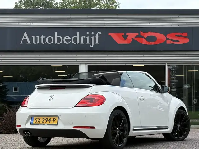 Volkswagen Beetle view 12