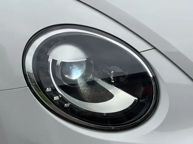 Volkswagen Beetle view 22