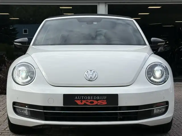 Volkswagen Beetle view 16